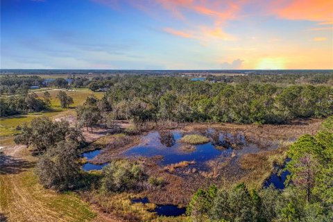 Land in Clermont, Florida № 1733516 - photo 3