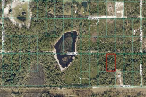 Land in Dunnellon, Florida № 2159382