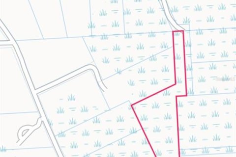 Land in Kissimmee, Florida № 2204332