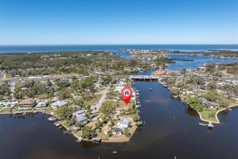 Land in New Port Richey, Florida № 1592713 - photo 13