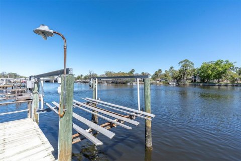 Land in New Port Richey, Florida № 1592713 - photo 6