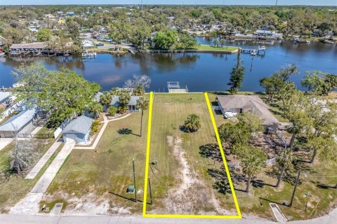 Land in New Port Richey, Florida № 1592713 - photo 3