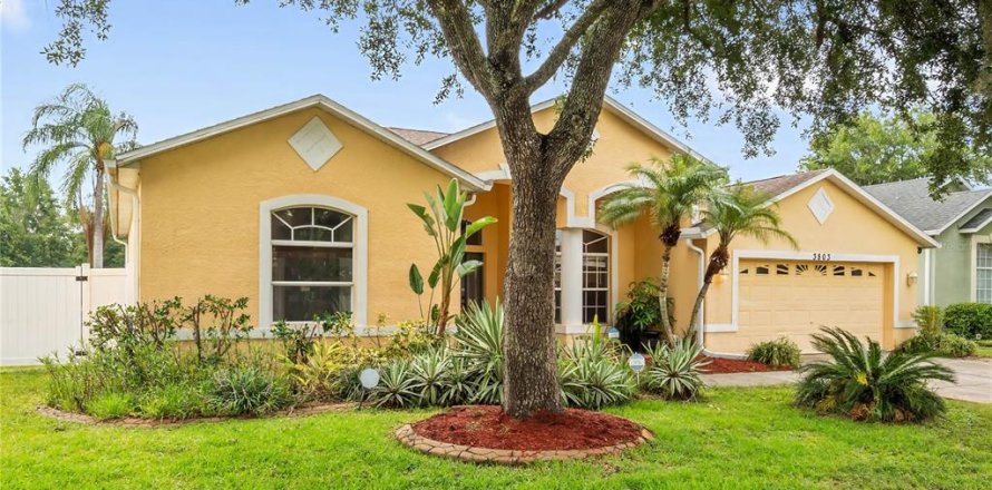 House in Land O' Lakes, Florida 4 bedrooms, 229.47 sq.m. № 1823031