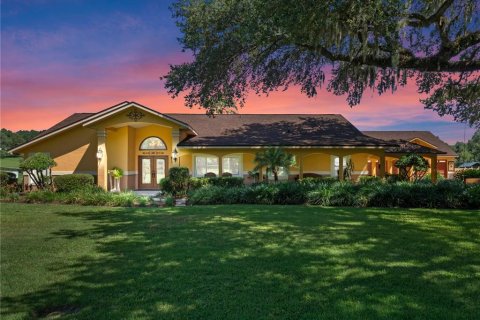 Villa ou maison à vendre à Sorrento, Floride: 4 chambres, 310.11 m2 № 2092212 - photo 2