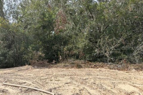 Casa en venta en Dunnellon, Florida, 4 dormitorios, 210.42 m2 № 1538144 - foto 9