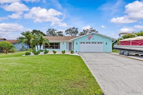 House in Tarpon Springs, Florida 3 bedrooms, 183.2 sq.m. № 1902156 - photo 1