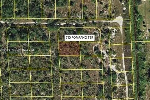 Land in Punta Gorda, Florida № 2164343 - photo 2
