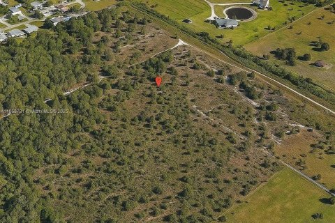 Land in Punta Gorda, Florida № 2164343
