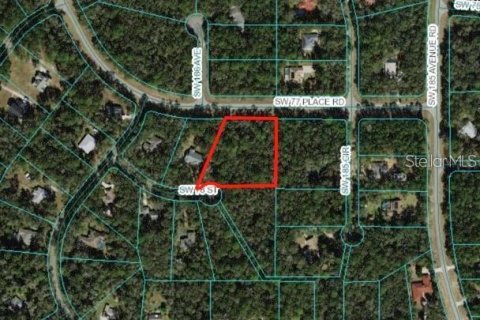 Land in Dunnellon, Florida № 1642271 - photo 1