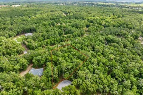 Land in Dunnellon, Florida № 1642271 - photo 2