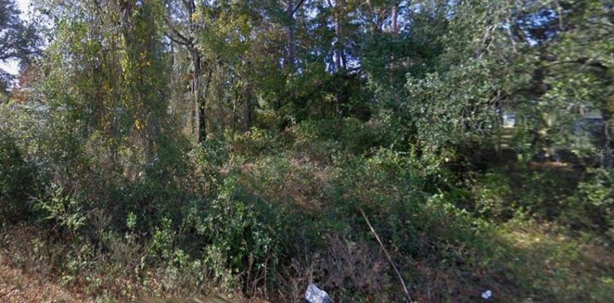 Land in Silver Springs Shores, Florida № 2161668
