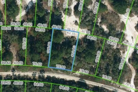 Land in Lake Placid, Florida № 2223986