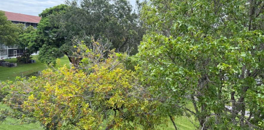 Condominio en Pembroke Pines, Florida, 1 dormitorio № 2185283