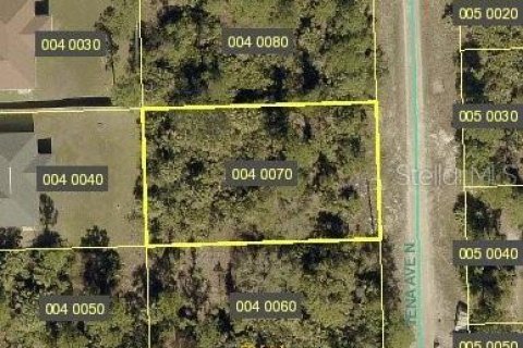 Land in Lehigh Acres, Florida № 2166660