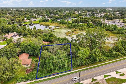 Terrain à vendre à Deltona, Floride № 1809952 - photo 2