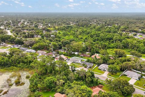 Terrain à vendre à Deltona, Floride № 1809952 - photo 7