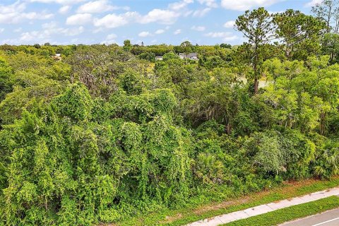Terrain à vendre à Deltona, Floride № 1809952 - photo 3