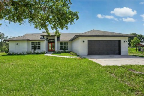 Casa en venta en Plant City, Florida, 5 dormitorios, 282.89 m2 № 1721300 - foto 1