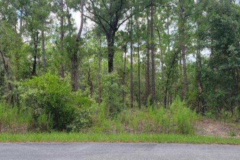 Terrain à Dunnellon, Floride № 2266743