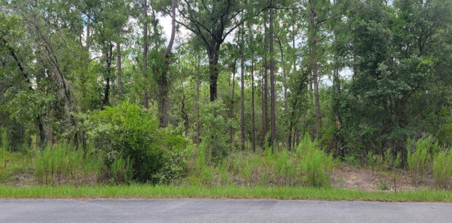 Terrain à Dunnellon, Floride № 2266743