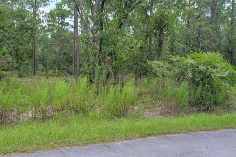 Terrain à vendre à Dunnellon, Floride № 2266743 - photo 2