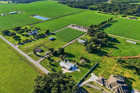 Casa en venta en Plant City, Florida, 4 dormitorios, 163.51 m2 № 2115020 - foto 29