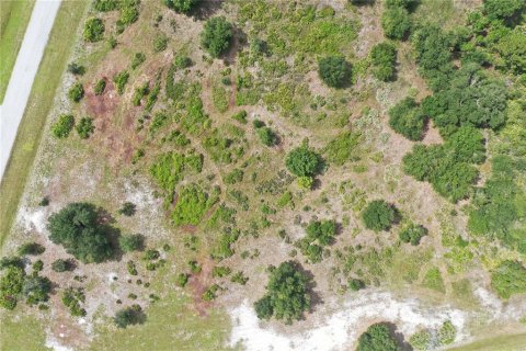 Terreno en venta en Myakka City, Florida № 2299264 - foto 5
