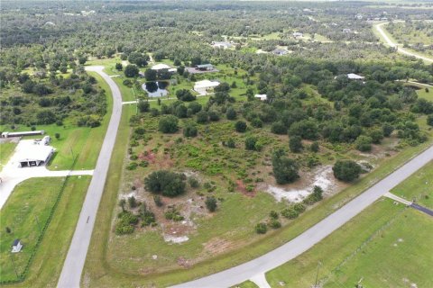 Terreno en venta en Myakka City, Florida № 2299264 - foto 6