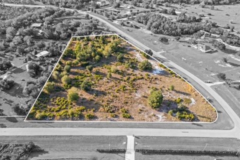 Terreno en venta en Myakka City, Florida № 2299264 - foto 7
