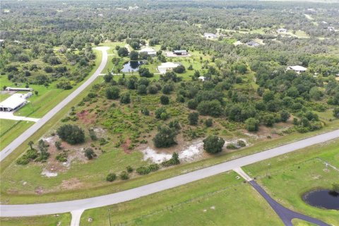 Terreno en Myakka City, Florida № 2299264