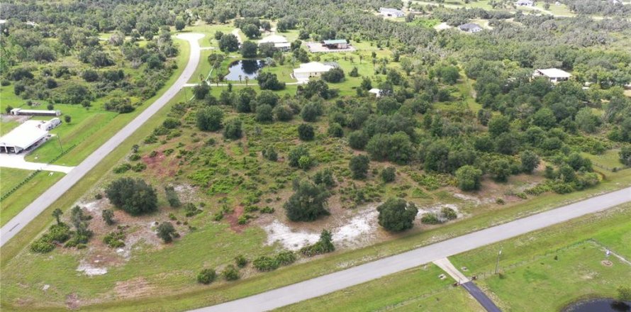 Terreno en Myakka City, Florida № 2299264