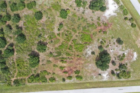 Terreno en venta en Myakka City, Florida № 2299264 - foto 2