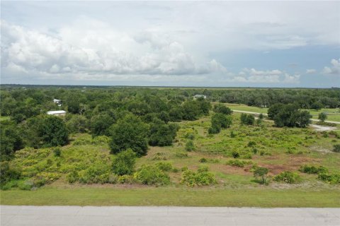 Terreno en venta en Myakka City, Florida № 2299264 - foto 4