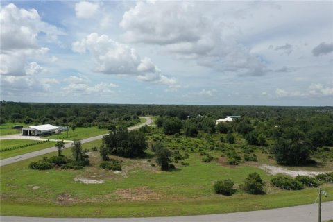 Terreno en venta en Myakka City, Florida № 2299264 - foto 3