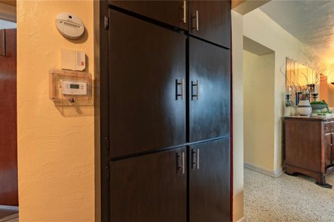 Villa ou maison à vendre à Tampa, Floride: 4 chambres, 193.79 m2 № 2236415 - photo 25