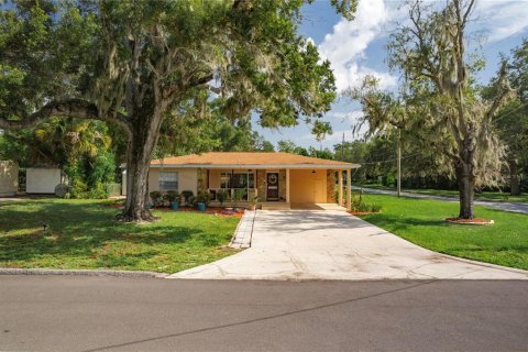 Villa ou maison à vendre à Tampa, Floride: 4 chambres, 193.79 m2 № 2236415 - photo 3