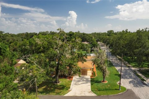 Villa ou maison à vendre à Tampa, Floride: 4 chambres, 193.79 m2 № 2236415 - photo 16