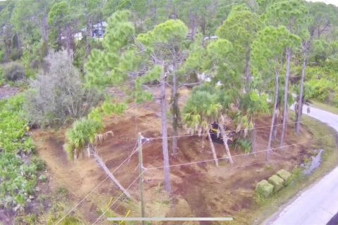 Land in North Port, Florida № 2383493 - photo 2