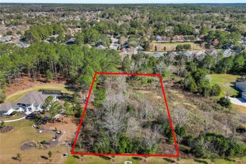 Land in Newberry, Florida № 2280617