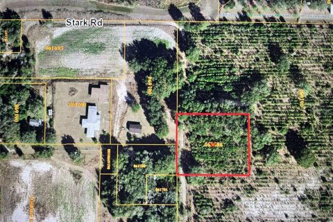 Land in Seffner, Florida № 1274310 - photo 1