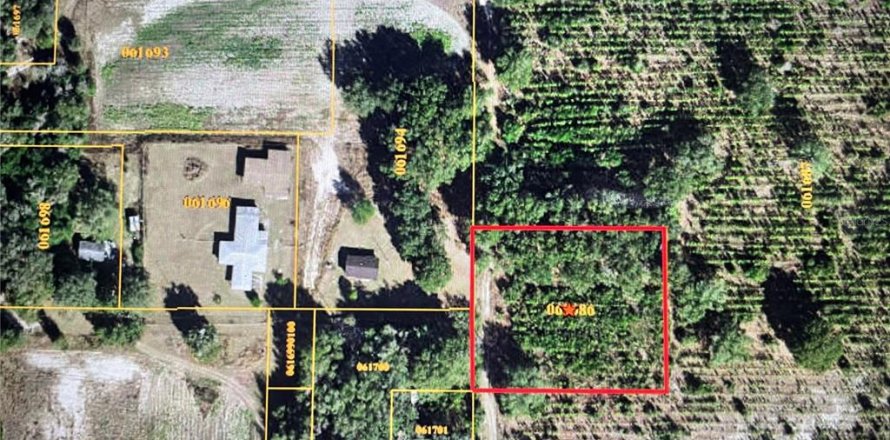 Land in Seffner, Florida № 1274310
