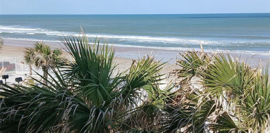 Condo à Daytona Beach, Floride, 1 chambre  № 1634121