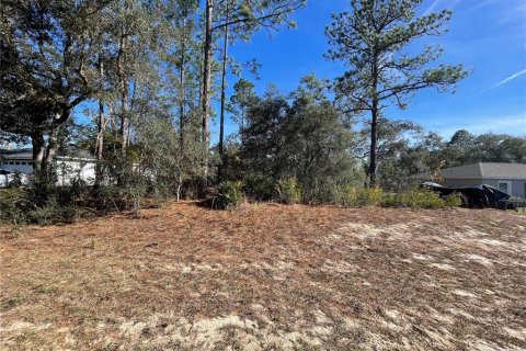 Land in Dunnellon, Florida № 2159881 - photo 5