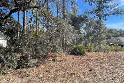 Land in Dunnellon, Florida № 2159881 - photo 3