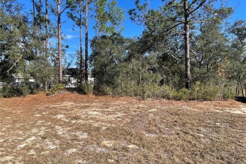 Land in Dunnellon, Florida № 2159881 - photo 4