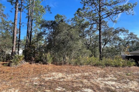Land in Dunnellon, Florida № 2159881 - photo 2