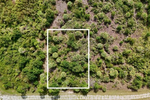 Land in North Port, Florida № 2294848