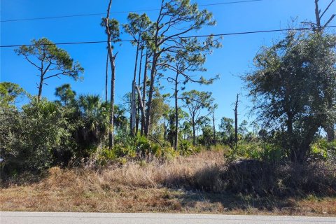 Land in Port Charlotte, Florida № 2162063