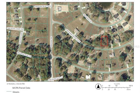 Land in Ocklawaha, Florida № 2403587