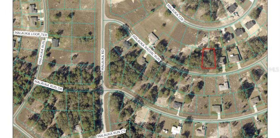 Land in Ocklawaha, Florida № 2403587